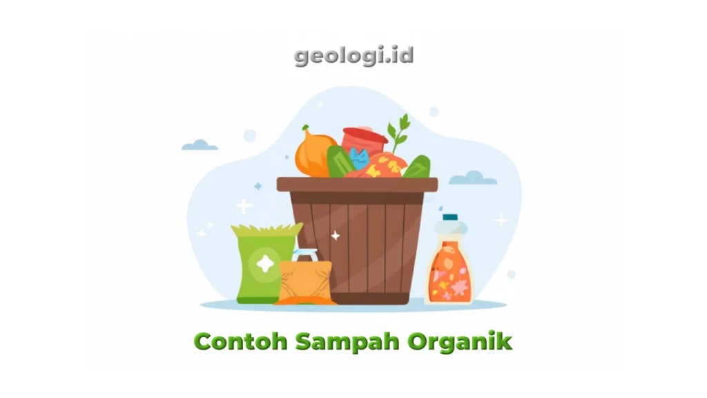Contoh Sampah Organik